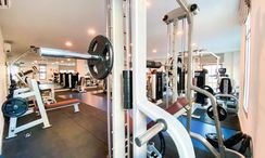 Фото 3 of the Communal Gym at Arcadia Beach Continental