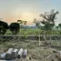 1 Bedroom House for sale in Lam Narai, Lop Buri, Lam Narai, Chai Badan, Lop Buri