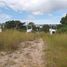  Land for sale in Anton, Cocle, Rio Hato, Anton