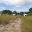  Land for sale in Cocle, Rio Hato, Anton, Cocle