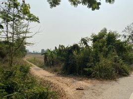  Land for sale in Lamphun, Mueang Chi, Mueang Lamphun, Lamphun