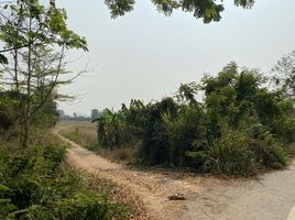  Grundstück zu verkaufen in Mueang Lamphun, Lamphun, Mueang Chi