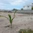  Land for sale in Colonche, Santa Elena, Colonche