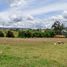  Land for sale in Colombia, Toca, Boyaca, Colombia