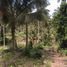  Land for sale in Koh Samui, Maenam, Koh Samui