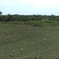  Land for sale in the Dominican Republic, Distrito Nacional, Distrito Nacional, Dominican Republic