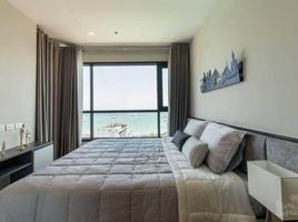 2 Bedroom Condo for rent at The Base Central Pattaya, Nong Prue