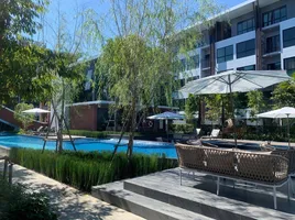 1 Bedroom Condo for rent at Arise Condo At Mahidol, Pa Daet, Mueang Chiang Mai, Chiang Mai