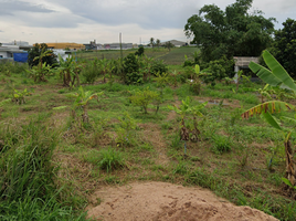  Grundstück zu verkaufen in Nikhom Phatthana, Rayong, Makham Khu