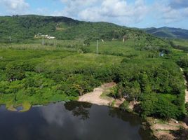  Land for sale in Premium Outlet Phuket, Ko Kaeo, Ko Kaeo