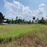  Grundstück zu verkaufen in Takua Thung, Phangnga, Lo Yung
