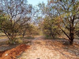  Land for sale in Phetchabun, Lom Kao, Lom Kao, Phetchabun