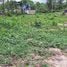  Land for sale in Phuket, Pa Khlok, Thalang, Phuket