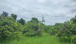 N/A Land for sale in Makhun Wan, Chiang Mai 