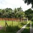  Land for sale in Belem, Para, Belem