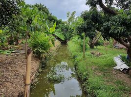  Grundstück zu verkaufen in Saraphi, Chiang Mai, Don Kaeo, Saraphi, Chiang Mai