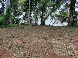  Land for sale in Bang Pit, Laem Ngop, Bang Pit