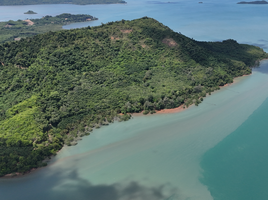  Grundstück zu verkaufen in Takua Thung, Phangnga, Lo Yung