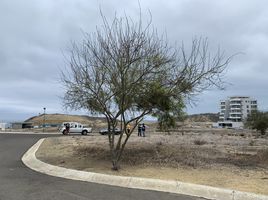  Grundstück zu verkaufen in Manta, Manabi, Santa Marianita Boca De Pacoche