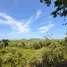  Grundstück zu verkaufen in Pa Khlok, Phuket, Pa Khlok, Thalang