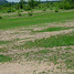  Land for sale in Ghana, Dangbe West, Greater Accra, Ghana