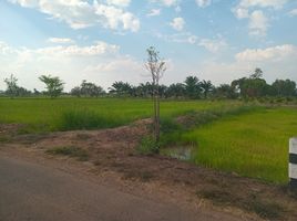  Земельный участок for sale in Ubon Ratchathani, Nong Bua Hi, Phibun Mangsahan, Ubon Ratchathani