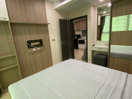 1 Schlafzimmer Appartement zu vermieten im Dusit Grand Condo View, Nong Prue