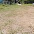  Land for sale in Nakhon Ratchasima, Nong Rawiang, Mueang Nakhon Ratchasima, Nakhon Ratchasima