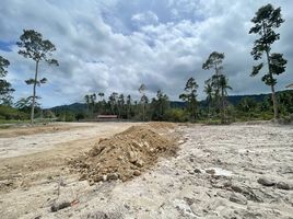  Land for sale in Surat Thani, Maenam, Koh Samui, Surat Thani