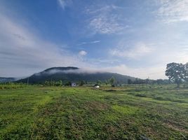  Grundstück zu verkaufen in Dan Chang, Suphan Buri, Huai Khamin