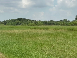 ขายที่ดิน ใน บางแพ ราชบุรี, วัดแก้ว, บางแพ