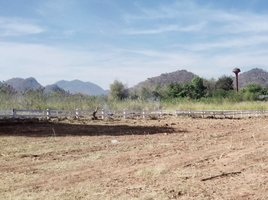  Grundstück zu verkaufen in Pak Chong, Nakhon Ratchasima, Nong Nam Daeng