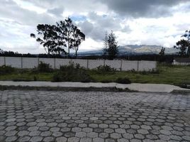  Grundstück zu verkaufen in Cayambe, Pichincha, Cayambe, Cayambe, Pichincha, Ecuador