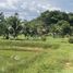  Land for sale in Autazes, Amazonas, Autazes