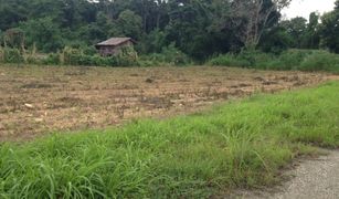 Земельный участок, N/A на продажу в Mae Chedi Mai, Чианг Рай 