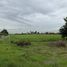  Land for sale in Bueng Bon, Pathum Thani, Bueng Bon