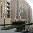 1 Bedroom Apartment for sale at Al Mamsha, Al Zahia