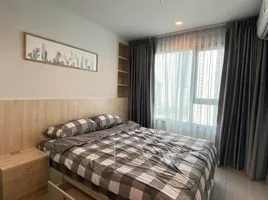 1 Schlafzimmer Wohnung zu vermieten im Life Ladprao, Chomphon, Chatuchak, Bangkok