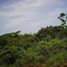  Land for sale in Coto Brus, Puntarenas, Coto Brus