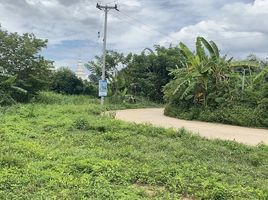  Land for sale in Mae Taeng, Chiang Mai, San Pa Yang, Mae Taeng