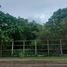  Land for sale in Thalang, Phuket, Si Sunthon, Thalang