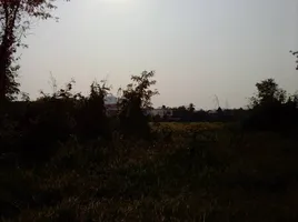 在黎出售的 土地, Kut Pong, Mueang Loei, 黎