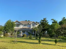 5 Schlafzimmer Haus zu verkaufen in Mueang Chiang Rai, Chiang Rai, Nang Lae