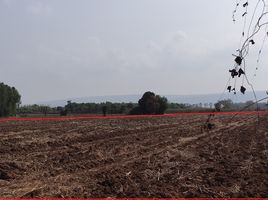  Grundstück zu verkaufen in Wang Thong, Phitsanulok, Wang Thong