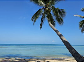  Grundstück zu verkaufen in Koh Samui, Surat Thani, Taling Ngam