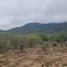  Land for sale in Argentina, General Guemes, Salta, Argentina