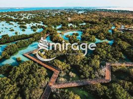 3 Schlafzimmer Villa zu verkaufen im Al Jubail Island, Saadiyat Beach