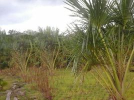  Land for sale in Amazonas, Rio Preto Da Eva, Amazonas