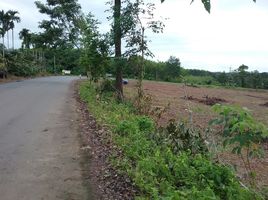  Grundstück zu verkaufen in Mueang Trat, Trat, Wang Krachae