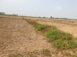  Land for sale in Chiang Rai, Huai Sak, Mueang Chiang Rai, Chiang Rai